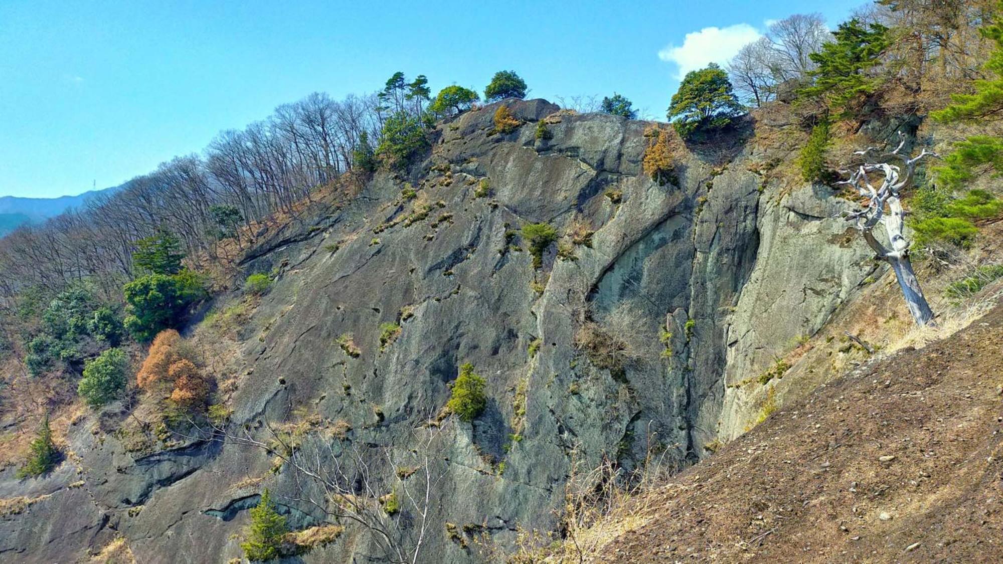 Toyoko Inn Fujisan Otsuki-Eki Otsuki  Kültér fotó